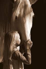 These are commonly worn with tall riding boots. 164 Royalty Free Equestrian Photos Pickpik