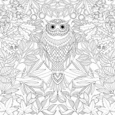 Included in this book are 30 unique and cute coloring pages featuring magical scenes, tiny homes, and tiny creatures! Secret Garden Johanna Basford Johanna Basford