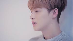 eau de boo — it will bloom.