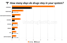 22 rare marijuana drug test detection chart