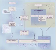 Ocular vs neurosyphilis. are they the same? A guide to investigation and  management | Eye