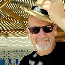 Sorry for the bad quality. This was in The Ribble Valley, Lancashire,  today. We're thinking it could be an escaped Harris Hawk. Any thoughts?