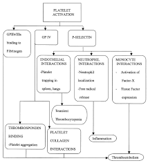 Image result for Platelet Dysfunction
