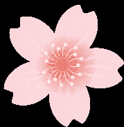 Rose flower wallpaper gif the galleries of hd wallpaper. Sakura Gif Gifs Tenor