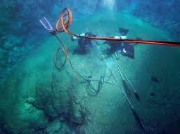 Oh, emily and john's wedding is so stunning! New Study Shows Tropical Corals Reflect Ocean Acidification