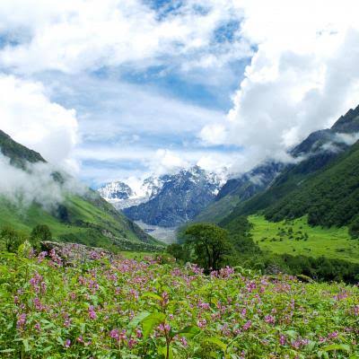 Nanda Devi & Valley of Flowers (Uttarakhand) Image 3