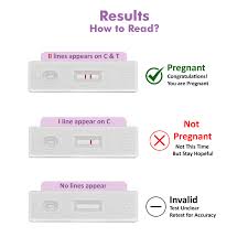 Image result for Pregnancy Test
