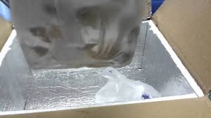 Please leave a comment if yo. How To Ship Live Tropical Fish In The Mail Youtube