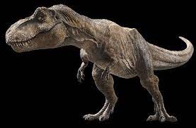 We've gathered more than 5 million images uploaded by our users and sorted them by the most popular ones. New Photo Of The T Rex From Jurassic World Fallen Kingdom Tiranossauro Tiranossauro Rex Animais Pre Historicos