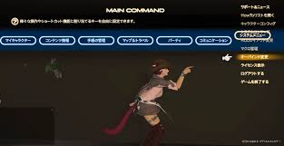 Ff14 最初にコレを設定しておこう オススメの初期設定 今日から始める Ff14新生エオルゼア エオキナ Com