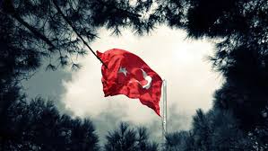 Gulten Akal Adli Kullanicinin Bayrak Panosundaki Pin Bayrak Resim Turkler