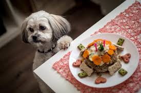They all do well on pedigree. Healthy Home Cooking For The Shih Tzu Well Being Shihtzuandyou Com