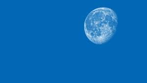 Blue Zoom Background Wallpaper Images Free Virtual Meeting Backgrounds Background Light In The Dark Background Pictures