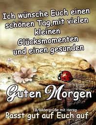 In diesem artikel handelt es sich um kostenlose guten morgen bilder mit text, sprüchen oder grüßen, die man downloaden oder schnell per facebook oder whatsapp teilen kann. Pin Von Birgit Crews Auf Guten Morgen Guten Morgen Guten Morgen Spruch Liebe Guten Morgen Grusse
