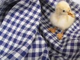 Antike Leinen Bettwasche Bezug 1 Bettdecken Bezug 3 76 M Karo Stoff Karierter Polsterstoff Grau Indigo Karo Flachs Rustic Farmhouse In 2020 Leinen Polsterstoffe Bettdecken