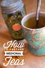 Preparing Medicinal Teas Chestnut School Of Herbal Medicine Medicinal Tea Herbal Infusion Herbalism