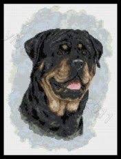 Maybe you would like to learn more about one of these? 43 Rottweiler In Crosstitch Ideas Rottweiler Cross Stitch Cross Stitch Patterns