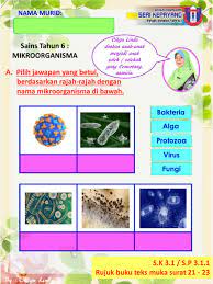Adalah organisme yang berukuran sangat kecil. Sains Tahun 6 Mikroorganisma Interactive Worksheet