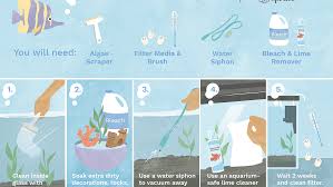 We did not find results for: How To Clean A Dirty Fish Tank The Right Way