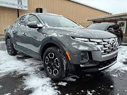 Image result for Hampton Gray 2024 Santa Cruz