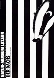 Steinemann Tino Clemens Philip Der Dachs Dach Steine Illustration