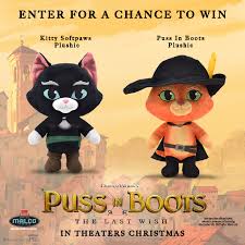 Darcie Colston's Instagram, Twitter & Facebook