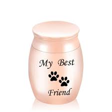 Kingdom ， in remembrance of: Double Heart Shaped Paw Printed Memorial Urns Pet Dog Cat Ash Casket Cremation Urn Metal Jewelry Screw Cover Can Open Pet Caskets Urns Aliexpress