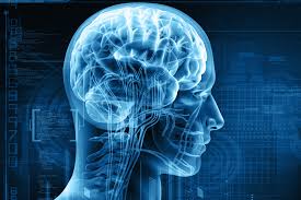 Neurology