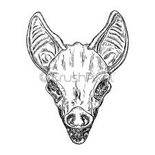 Bat Head Or Face Drawing Gothic Illustration Of Monsters For Stock Vector Crushpixel How to draw fox easy steps hindi. stock vector bat head or face drawing gothic illustration of monsters for the halloween witchcraft magic occult attributes decorative elements