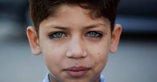 Portrait of a Young Boy · Free Stock Photo