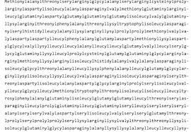 Maybe you would like to learn more about one of these? To Read World S Longest Word It Will Take Three And A Half Hours Orissapost