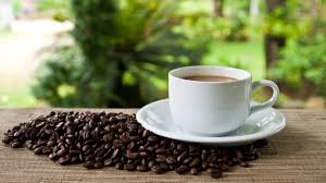 ¡Café Lovers, Atención! Celebramos el Día Internacional del Café en Perú
