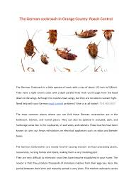 General messiness, which often means food or places to hide, will also encourage roaches to make themselves comfortable in your home. Ppt The German Cockroach In Orange County Roach Control Powerpoint Presentation Id 7727748