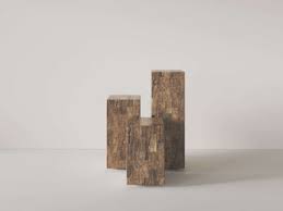 Image result for Plinthus