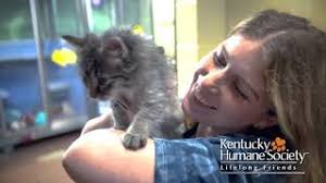 Help Us Raise an Extra $15,000 for our TLC Fund by August 18