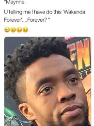 Black Panther Meme Tumblr Funny Marvel Memes Stupid Funny Memes Funny Relatable Memes