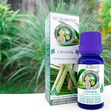 Want to make your own essential oils? Citronella The Natural Repellent Against Mosquitoes Marnys