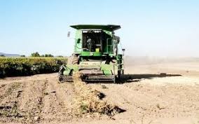 Check spelling or type a new query. Cuando Se Celebra El Dia Del Agricultor En Mexico