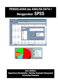 Pengolahan Dan Analisa Data 1 Menggunakan Spss Micro Ccit Academia Edu