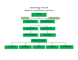 Cambodian Council Of Nurses Ccn Nursing Council In Cambodia