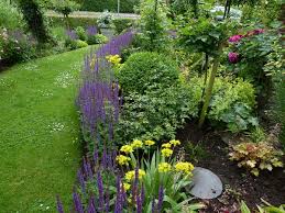 Hier dreht sich alles um die königin des gartens und ihre pflege. Salbei Als Randbepflanzung Bepflanzung Garten Pflanzen