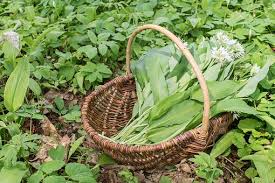 Maybe you would like to learn more about one of these? Dry Your Own Fresh Herbs Shan S Herbal
