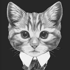 Kemain lagi pickup line dia.haha part daud m dan manap sengau yg penat nak gelak tengok diorang dua bergaduh, sibuk nak betulkan orang padahal diri sendiri pun tak betul. Kucing Hitam Issspartan Twitter