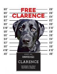 Jimmy And Clarence