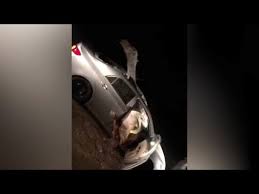 When my mum … (appear), my father already … (start) the car. Clip Of Camel Trapped Inside Toyota Corolla After Crash Goes Viral Autoevolution