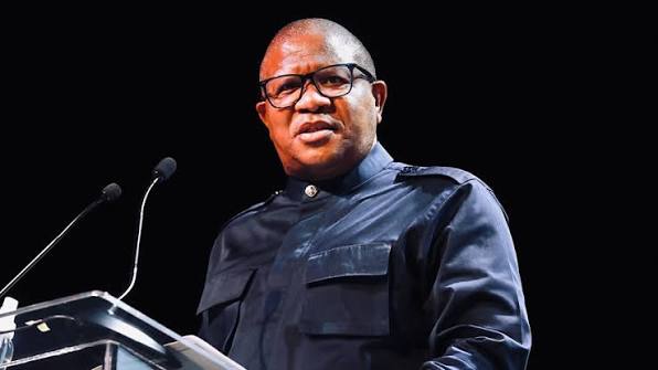Central Line: Mbalula should clarify comments on army deployment