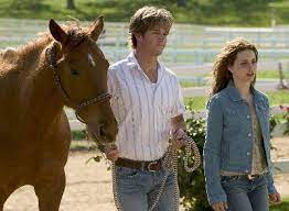 Flicka Horse Movies Good Movies Old Tv Shows