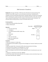 See lab handout strawberry dna extraction questions: Dna Extraction Lab