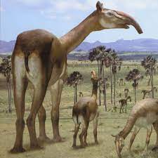 Art Illustration Prehistoric Mammals Macrauchenia Long Llama Based On The Now Superseded Latin Te Ancient Animals Prehistoric Animals Extinct Animals