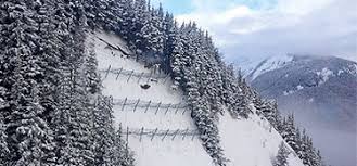 A large amount of ice, snow, and rock falling quickly down the side of a mountain 2. Avalanche Prevention Geobrugg